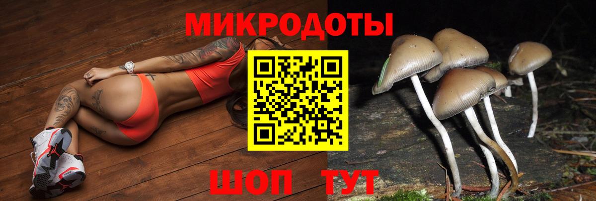 Псилоцибиновые грибы ЛСД  Вход с VPN  Александров  продажа наркотиков  Галлюциногенные грибы GOLDEN TEACHER 